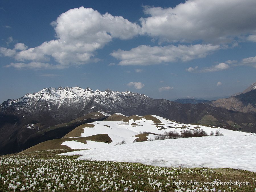 17 Ultima neve sulla Costa del Pallio.jpg